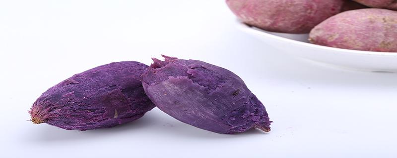 紫薯可以煮着吃吗 哪些人不能吃紫薯