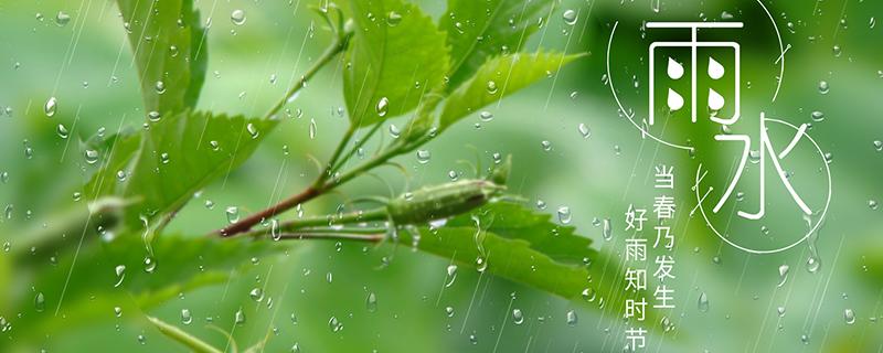 雨水吃什么传统食物 雨水吃什么传统食物?