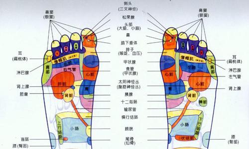 甲状腺结节可以按摩吗 甲状腺结节可以按摩吗 按哪里