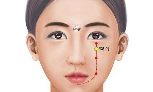 四白的准确位置图和作用（四白的准确位置图和作用的准确位置图）