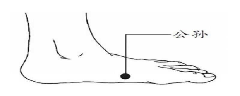 公孙的针刺方法（针刺公孙的视频）