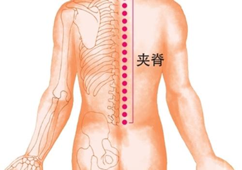 颈椎不好拔罐拔哪里 颈椎不好用拔罐拔哪个地方好