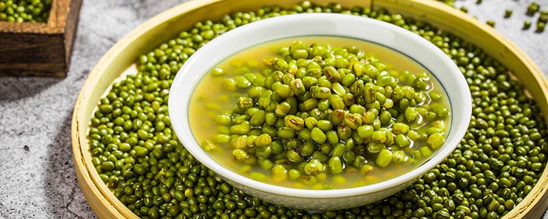 长期喝绿豆汤会发胖吗 喝绿豆汤有什么好处
