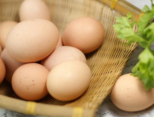 早晨吃鸡蛋的好处有哪些 早晨吃鸡蛋的好处有哪些作用
