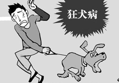 狂犬病的预防措施 狂犬病的预防措施错误的是A捕杀野犬