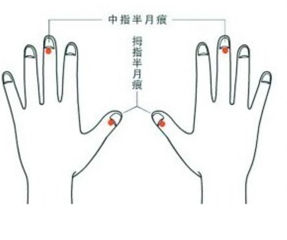 指甲上的月牙痕代表什么（指甲中月牙痕的含义）