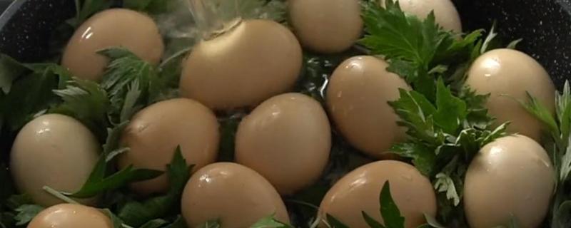 新鲜艾草煮蛋的功效和作用 鸡蛋煮新鲜艾草的功效与作用