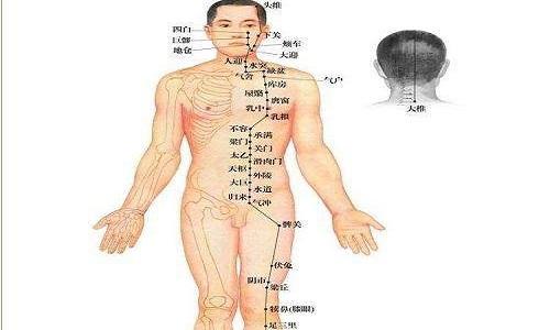 足阳明胃经按摩顺序（足阳明胃经按摩方法）