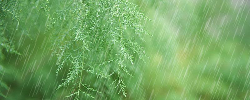 雨水节气是几九 雨水节气是几点