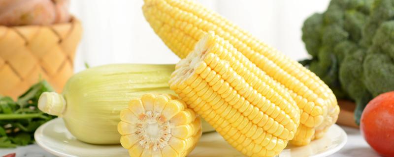 玉米吃多了会怎么样 玉米一天可以吃几根