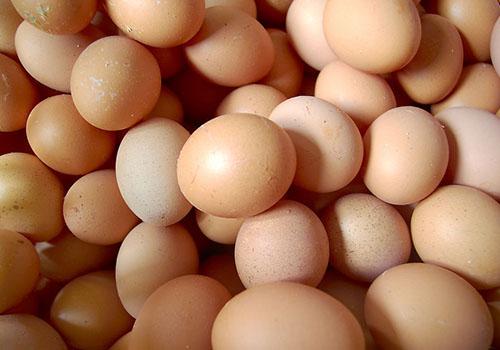 阴囊湿疹能吃鸡蛋吗（阴囊湿疹能吃皮蛋吗）
