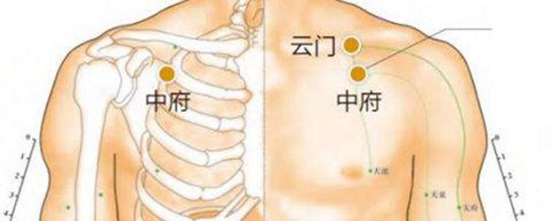 中府的准确位置图和作用 小儿中府的准确位置图和作用