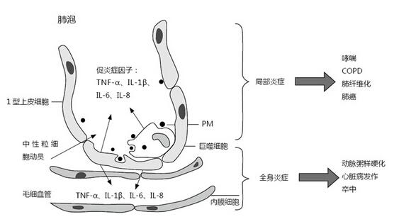 雾霾到底会不会致癌（雾霾是致癌物吗）