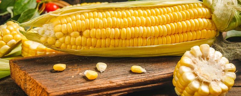 玉米没熟吃了会怎么样 一般玉米要煮多久才熟