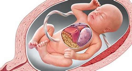 胎儿缺氧的后果 胎儿缺氧的后果能查出来吗