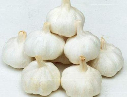 大蒜不能和什么一起吃（大蒜不能和什么一起吃,大蒜和什么相克）