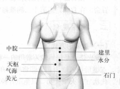 拔罐减肥的位置图 腿上拔罐减肥的位置图