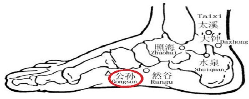 按摩公孙的最佳时间（公孙的准确位置图和按摩手法）