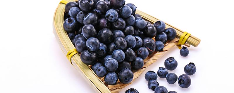 蓝莓吃多少合适 一天吃了60多颗小蓝莓