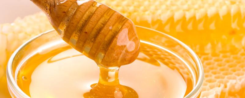 蜂蜜能和豆浆一起喝吗 蜂蜜能和豆浆一起喝吗早上