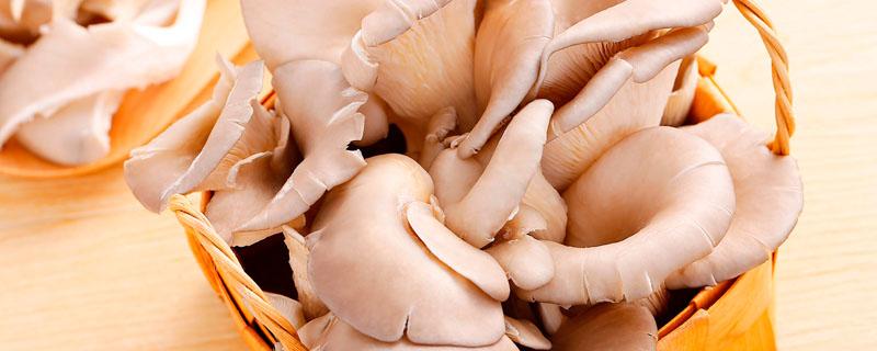 新鲜菇可以直接冷冻保存吗 鲜香菇用什么方法保存更久
