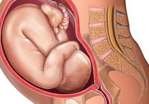 胎儿脐带要注意的问题 新生儿脐带注意事项