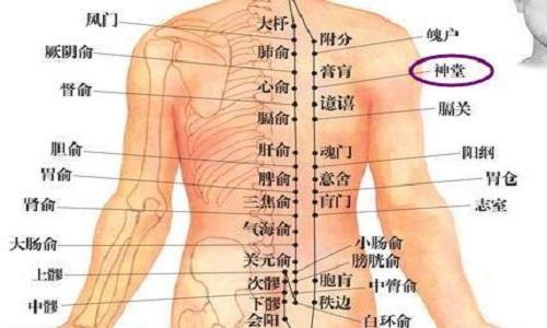 神堂的准确位置图 神堂的准确位置图片