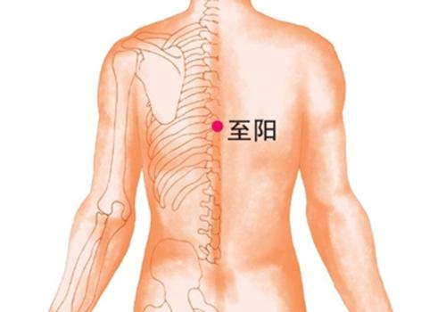 男性拔罐的位置图图解（男性拔罐的位置图片大全）