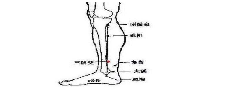 三阴焦位置图怎么按摩（三阴焦位置图和作用的准确位置图视频）