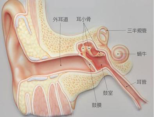 耳朵里面疼是怎么回事（孩子耳朵里面疼是怎么回事）