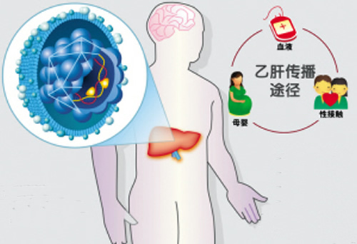 乙肝病毒携带者能生孩子吗 乙肝携带者可以生小孩吗?