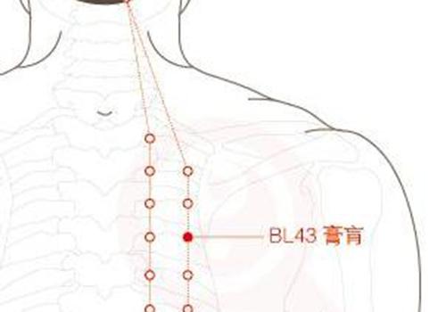 三伏贴哮喘贴哪里（支气管哮喘贴三伏贴贴哪里）