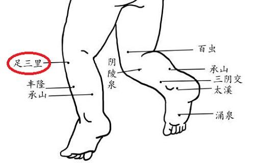 小儿足三里的准确位置图和作用 小儿足三里作用的准确位置图片