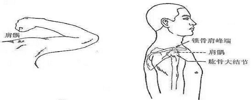 肩髃如何针刺 肩髎怎么刺
