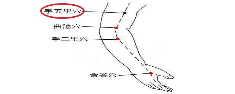 手五里的准确位置图 手五里的功效及作用