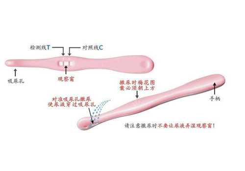 验孕棒怎么使用 验孕棒怎么使用的步骤