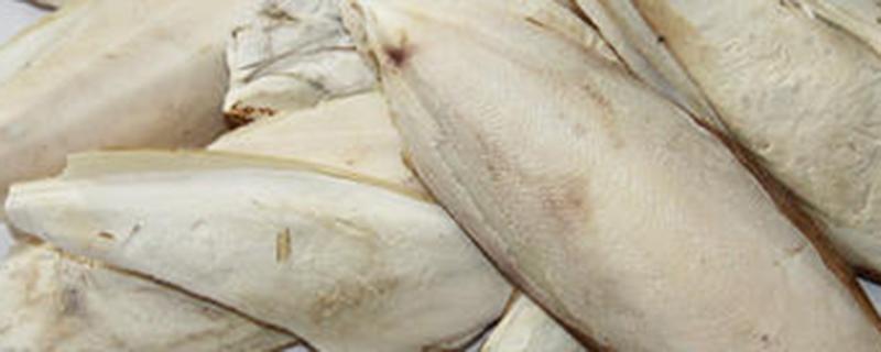 海螵蛸对胃的功效与作用 海螵蛸的功效与作用及副作用