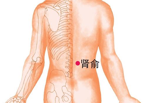 腰椎间盘突出拔罐位置图（腰间盘突出拔罐位置示意图）