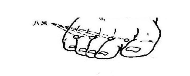 八风的准确位置图片 八风八邪准确位置图