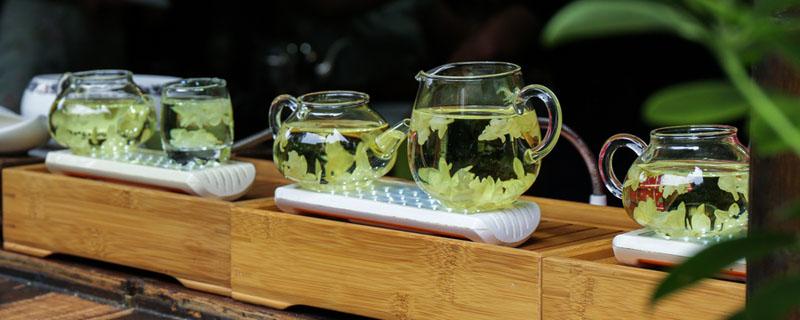 茉莉和菊花能一起喝吗 茉莉和菊花哪个好