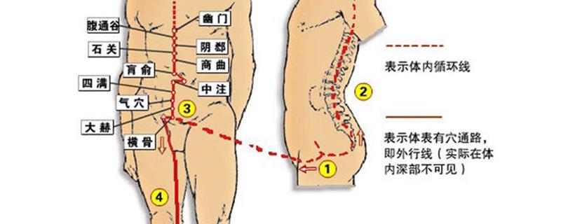 冲脉的准确走向位置图 任脉的准确走向位置图