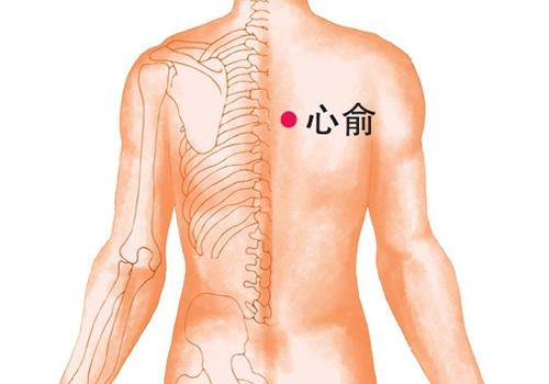 阳痿拔罐位置适宜图 拔罐壮阳的位置图解