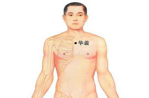 华盖的准确位置图作用 华盖的准确位置图作用功效养生之家