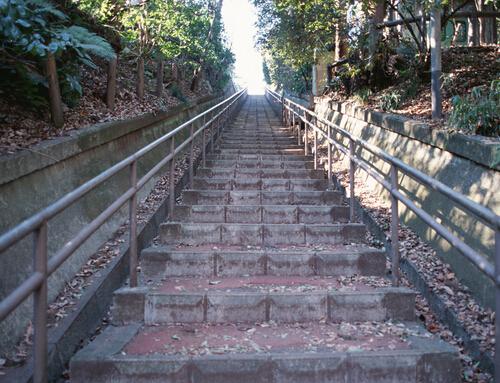 爬楼梯和跑步哪个减肥效果好（爬楼梯和跑步哪个更减肥）