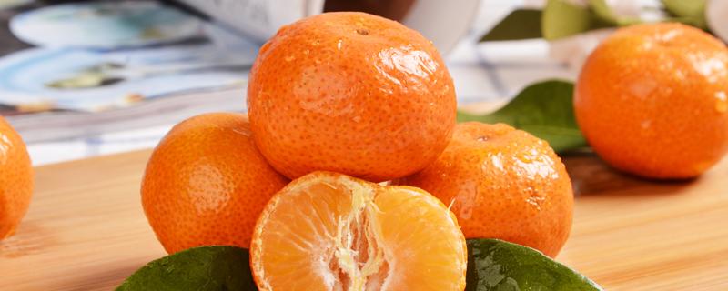 砂糖橘子是热性还是凉性 砂糖橘子是热性还是凉性的