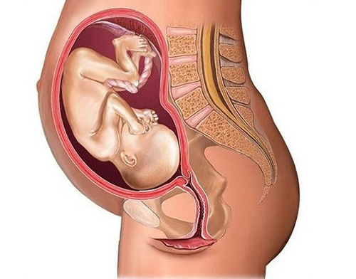 胎儿入盆是什么感觉 胎儿入盆是什么感觉和症状