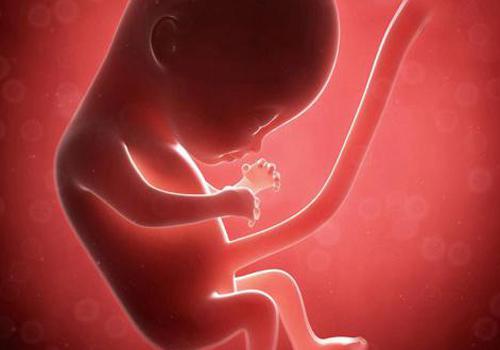 怀孕初期熬夜对胎儿有影响吗 孕早期熬夜会影响胎儿吗