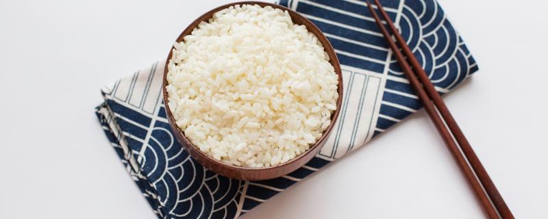 米饭热量低为什么会胖 米饭热量低为什么会胖呢