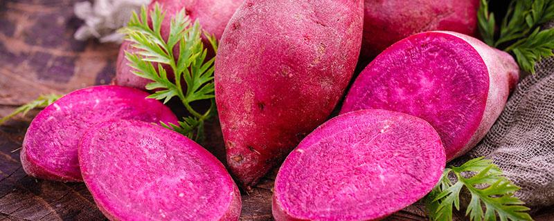 减肥可以吃紫薯吗 紫薯和红薯哪个更减肥