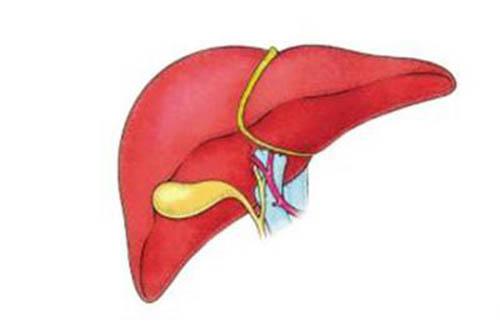 肝硬化的早期症状 肝炎肝硬化的早期症状